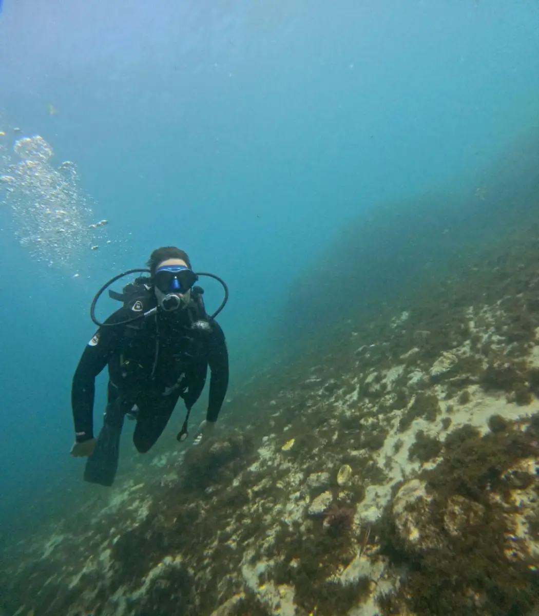 Diver over the rocky seabed of Tarifa
