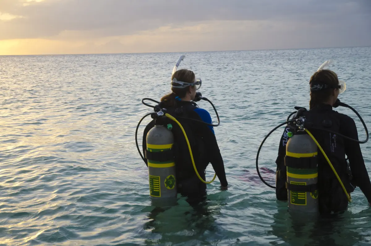 Divers at sunset